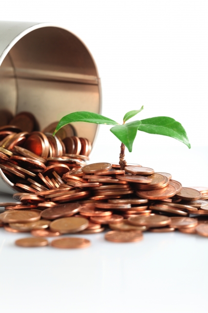 photo_21651_20101013